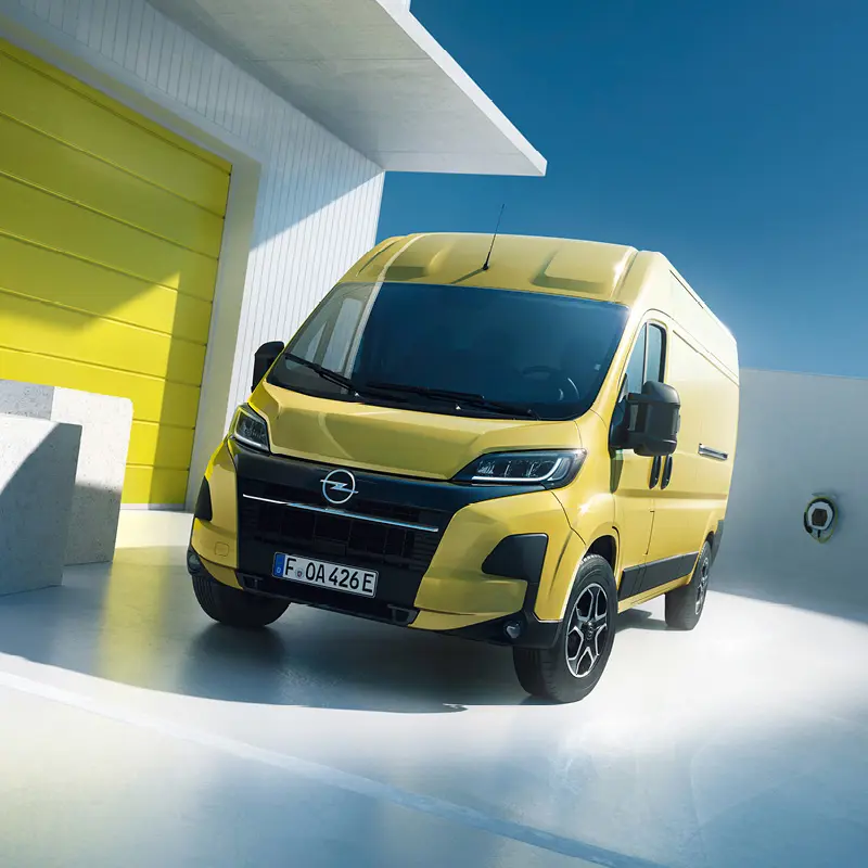 1920X800 Ny Tb Movano